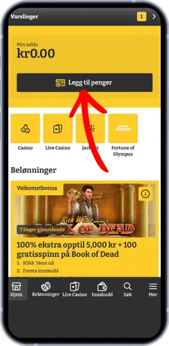 Spillerkonto hos Lucky Spins med saldo og knapp for å legge til penger